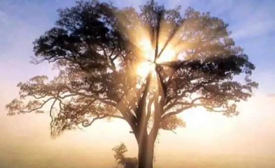 无声无息的意思