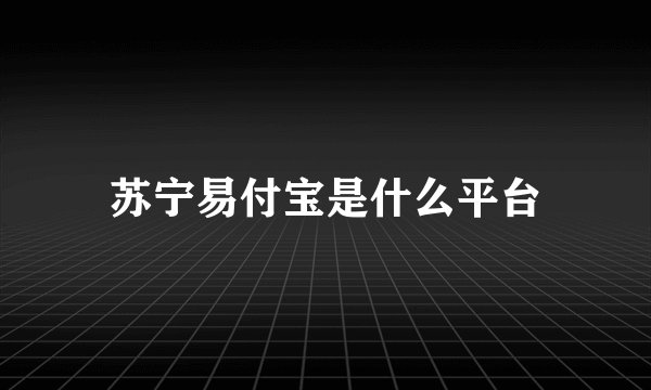 苏宁易付宝是什么平台