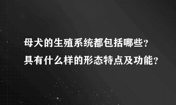 母犬的生殖系统都包括哪些？具有什么样的形态特点及功能？