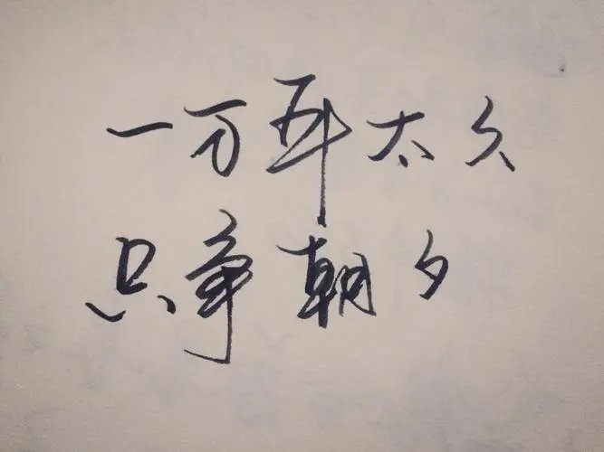 一万年太久只争朝夕什么意思