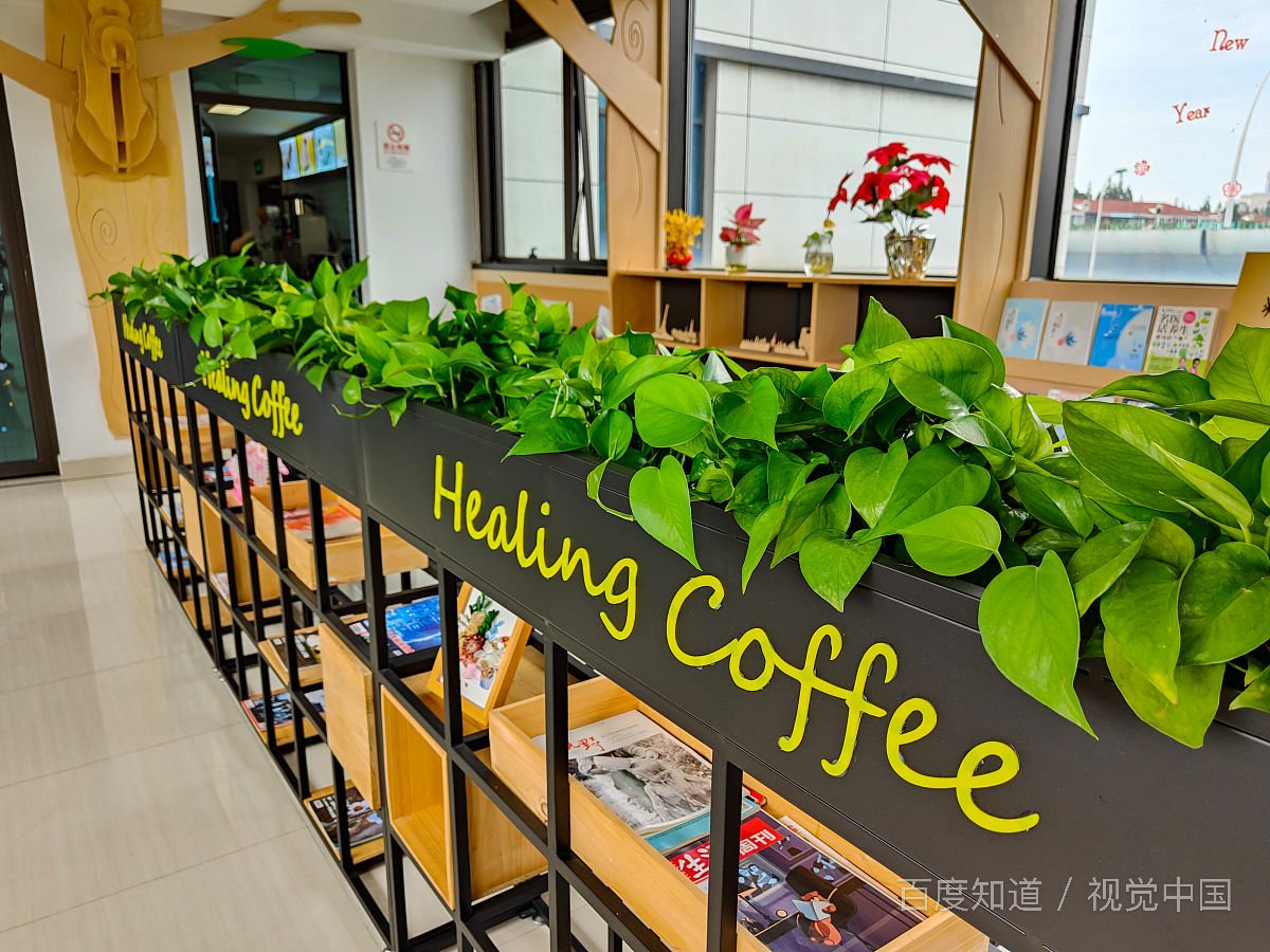 怎样婉转的拒绝朋友来我的家玩？