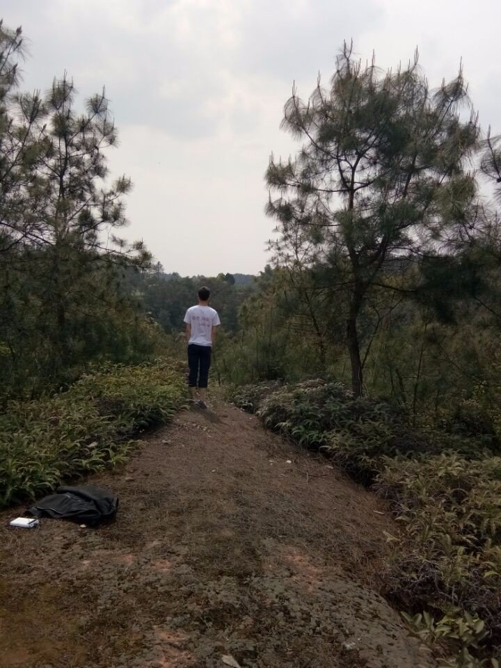 骇伦是网络红人？他凭什么可以称之为网络红人？