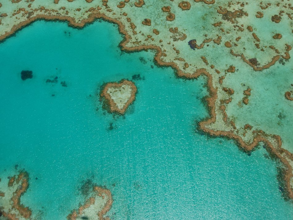 玫瑰海岸一日游攻略