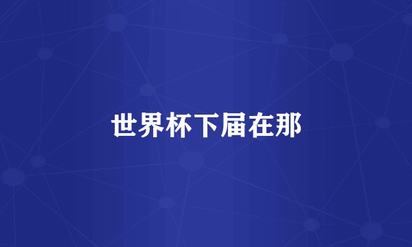 世界杯下届在那