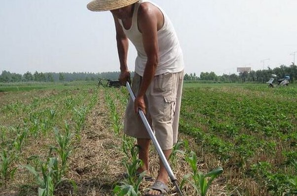 多收了三五斗揭示了什么