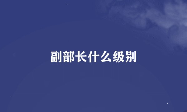 副部长什么级别