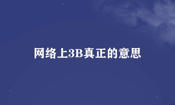 网络上3B真正的意思