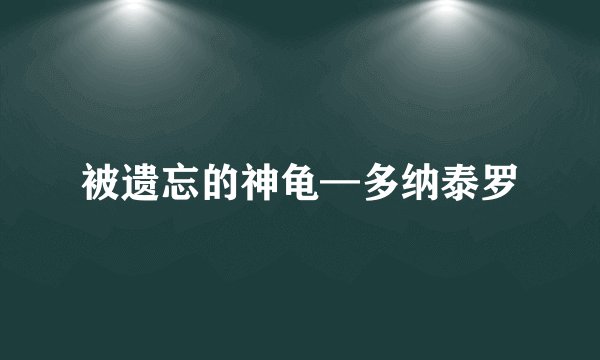 被遗忘的神龟—多纳泰罗