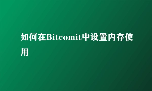 如何在Bitcomit中设置内存使用