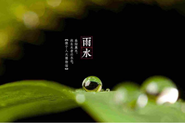 雨水是什么意思?