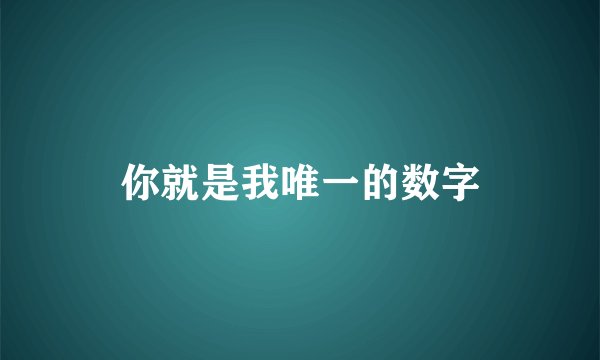 你就是我唯一的数字