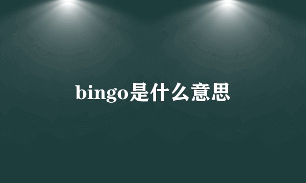 bingo是什么意思