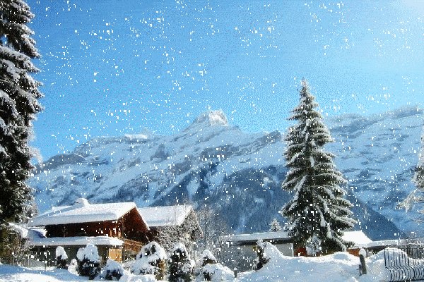 东北大哥卖雪给南方人，如何看待东北第一场雪催生的“雪经济”？