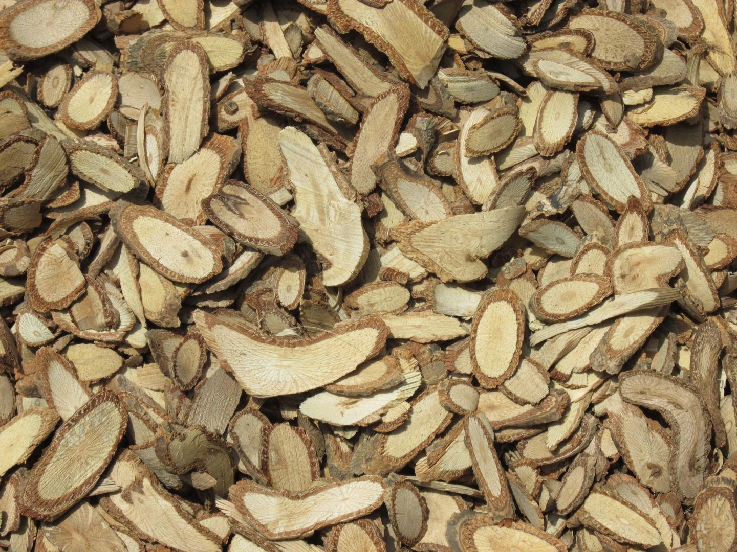 白木通的形态特征