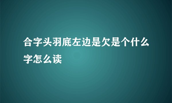 合字头羽底左边是欠是个什么字怎么读
