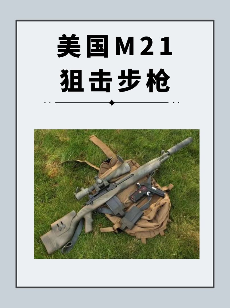 美国M21狙击步枪