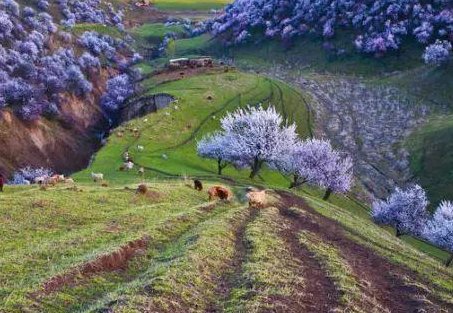 人间最美四月天，不负春光与时行。下一句是啥？