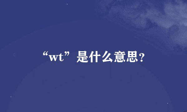 “wt”是什么意思？