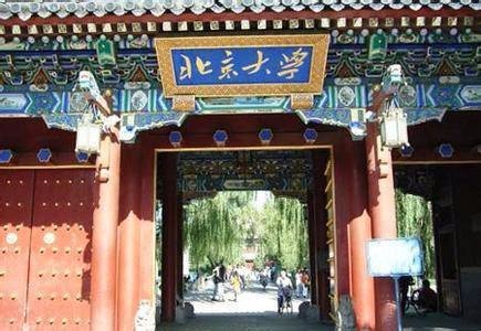 北大元培学院有什么专业啊？