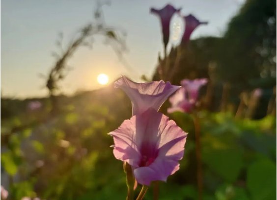 缕怎么读拼音怎么写