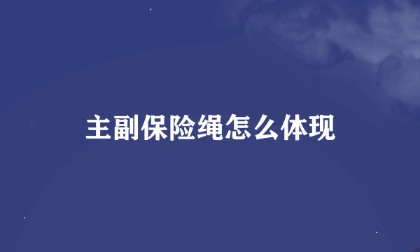 主副保险绳怎么体现