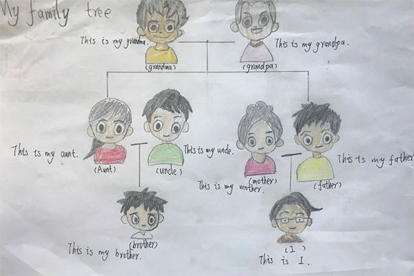 familytree怎么画简单