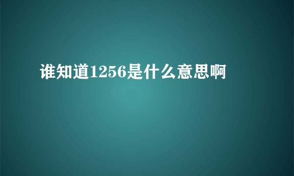 谁知道1256是什么意思啊