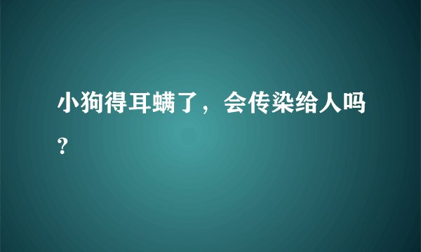小狗得耳螨了，会传染给人吗？