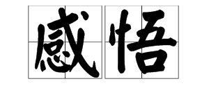 “感悟”和“感触”怎么区别?