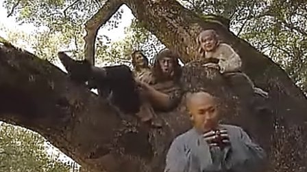 真命小和尚之十二铜人的介绍