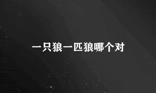 一只狼一匹狼哪个对