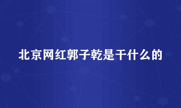 北京网红郭子乾是干什么的