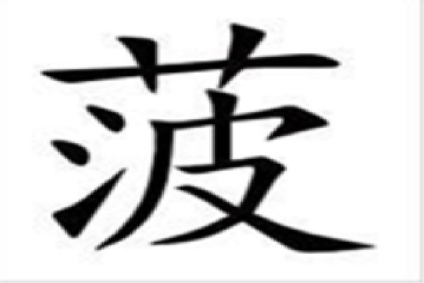菠萝的菠怎么写