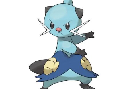 水水獭配招是什么？