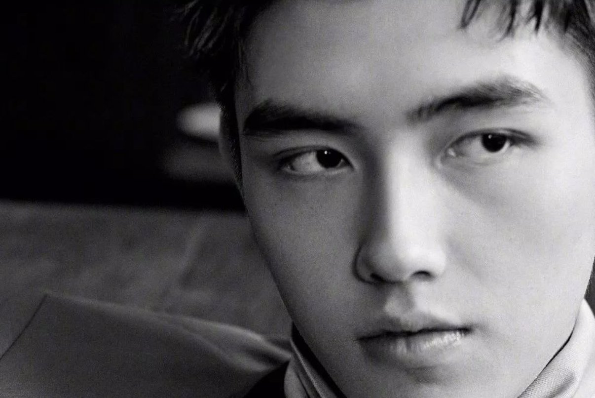 陈飞宇都有哪些作品