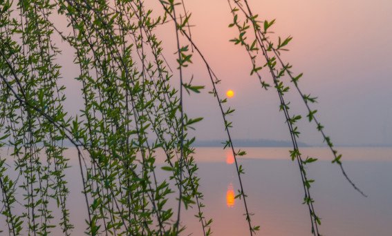 我们生在红旗下完整句子是什么？