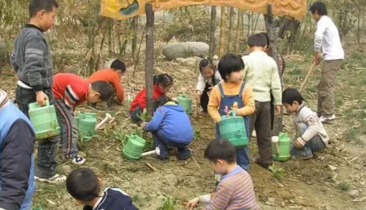 简述华德福教育的特点