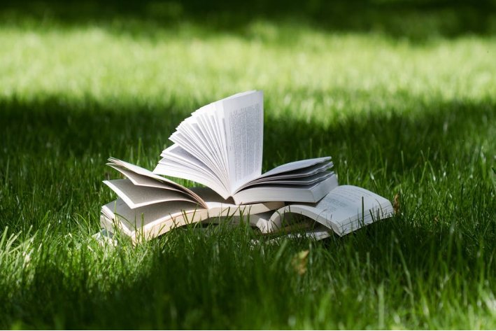 泛滥成灾的拼音