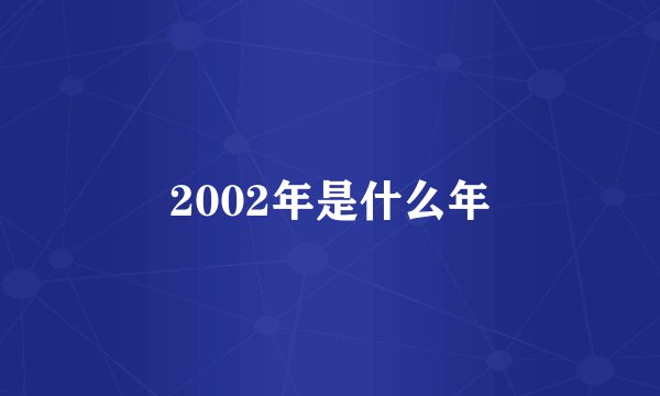 2002年是什么年