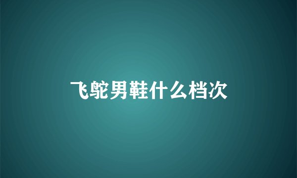 飞鸵男鞋什么档次
