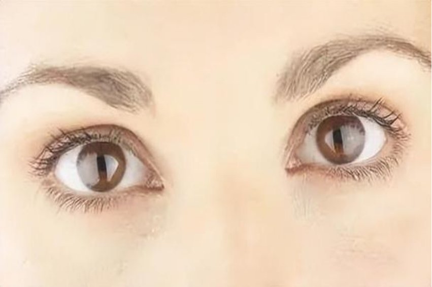 双眸是什么意思