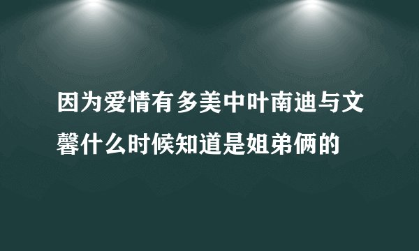 因为爱情有多美中叶南迪与文馨什么时候知道是姐弟俩的