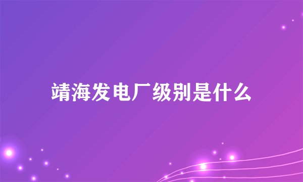 靖海发电厂级别是什么