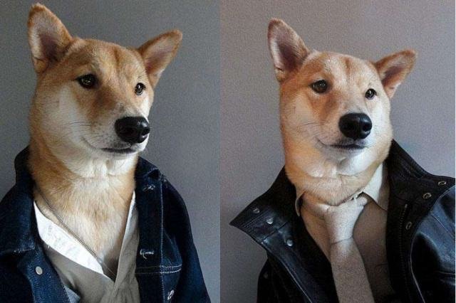 身为单身狗，你是怎样过情人节的？