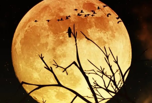 迎中秋庆国庆专题手抄报内容