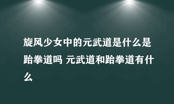 旋风少女中的元武道是什么是跆拳道吗 元武道和跆拳道有什么