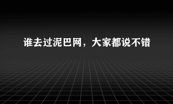 谁去过泥巴网，大家都说不错