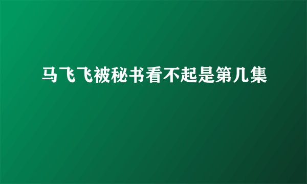 马飞飞被秘书看不起是第几集