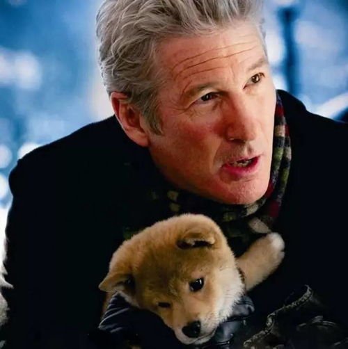 电影《忠犬帕尔玛》确认引进，这部影片主要讲述了什么？