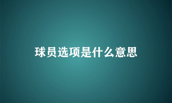 球员选项是什么意思